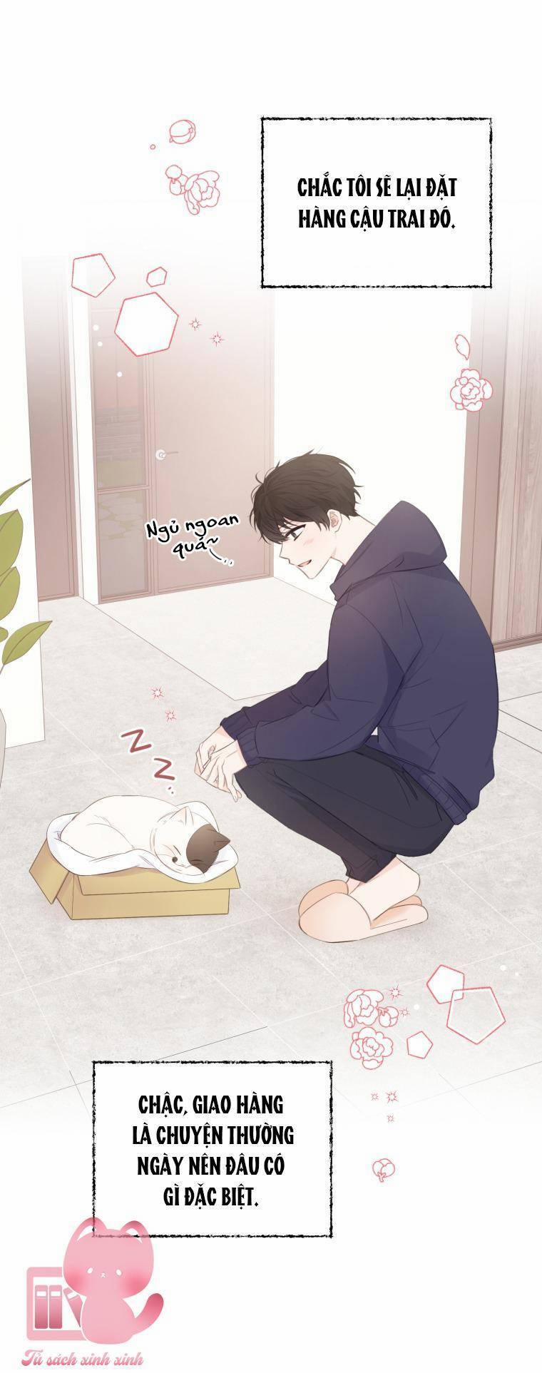 Dịch Vụ Chuyển Phát Hình Mẫu Lý Tưởng 12 trang 8