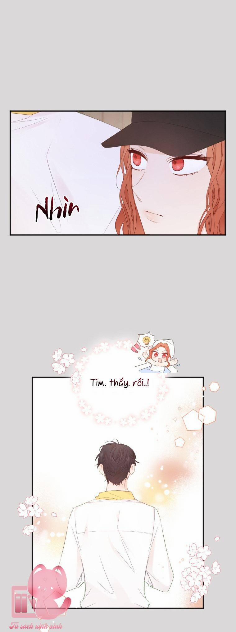 Dịch Vụ Chuyển Phát Hình Mẫu Lý Tưởng 13 trang 13