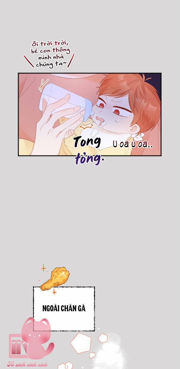 Dịch Vụ Chuyển Phát Hình Mẫu Lý Tưởng 13 trang 16