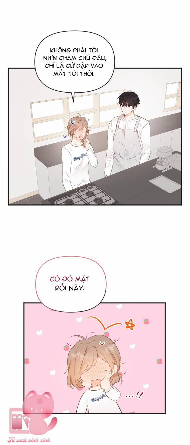 Dịch Vụ Chuyển Phát Hình Mẫu Lý Tưởng 15 trang 12