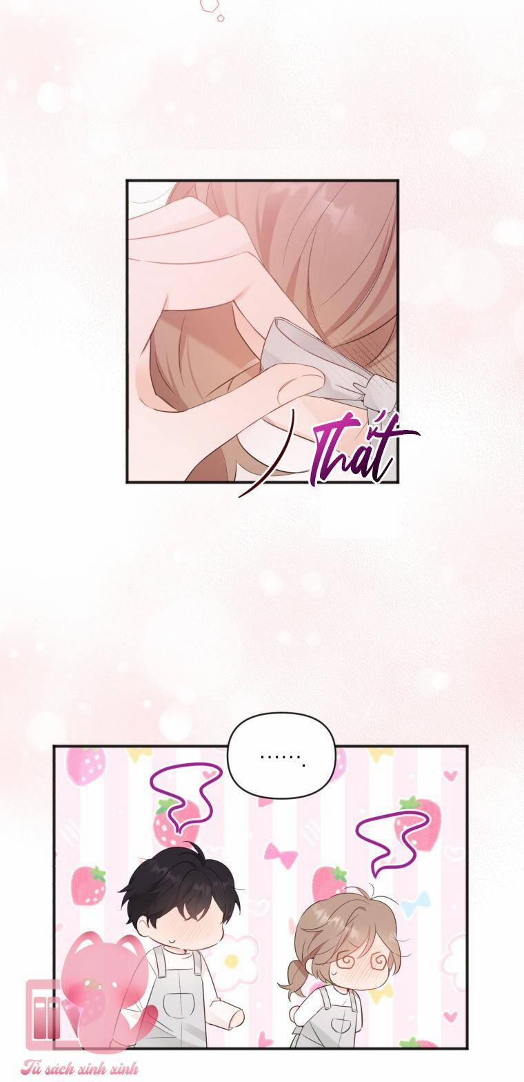 Dịch Vụ Chuyển Phát Hình Mẫu Lý Tưởng 15 trang 18