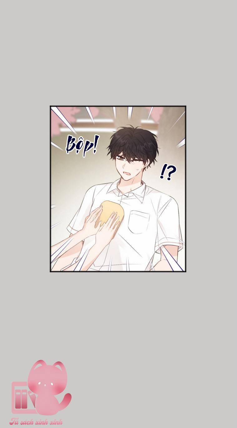 Dịch Vụ Chuyển Phát Hình Mẫu Lý Tưởng 15 trang 40