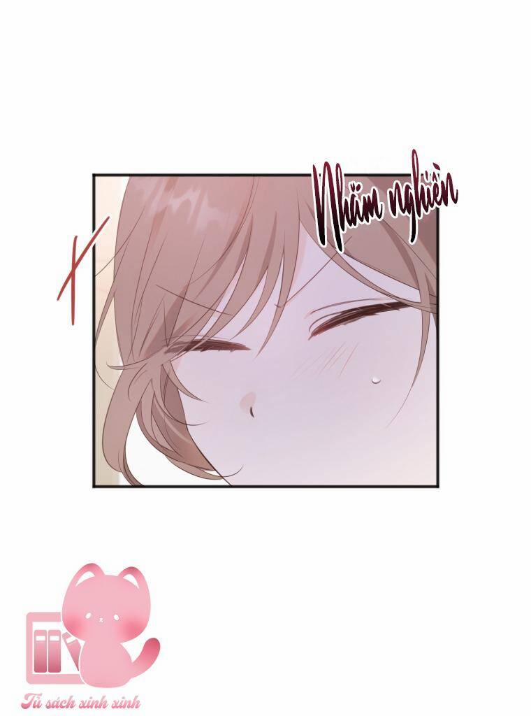 Dịch Vụ Chuyển Phát Hình Mẫu Lý Tưởng 16 trang 2