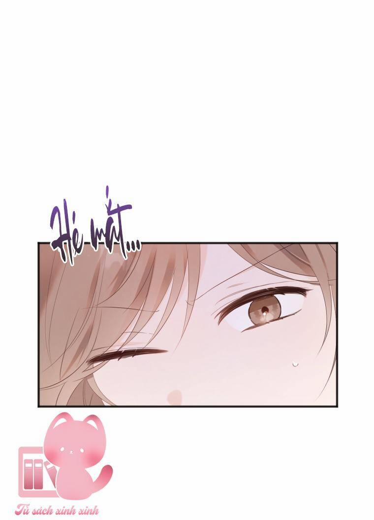 Dịch Vụ Chuyển Phát Hình Mẫu Lý Tưởng 16 trang 4