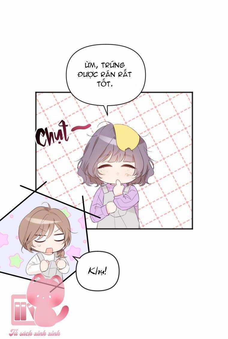 Dịch Vụ Chuyển Phát Hình Mẫu Lý Tưởng 16 trang 6