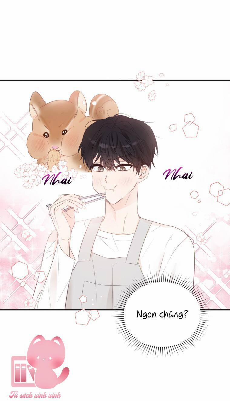 Dịch Vụ Chuyển Phát Hình Mẫu Lý Tưởng 17 trang 37