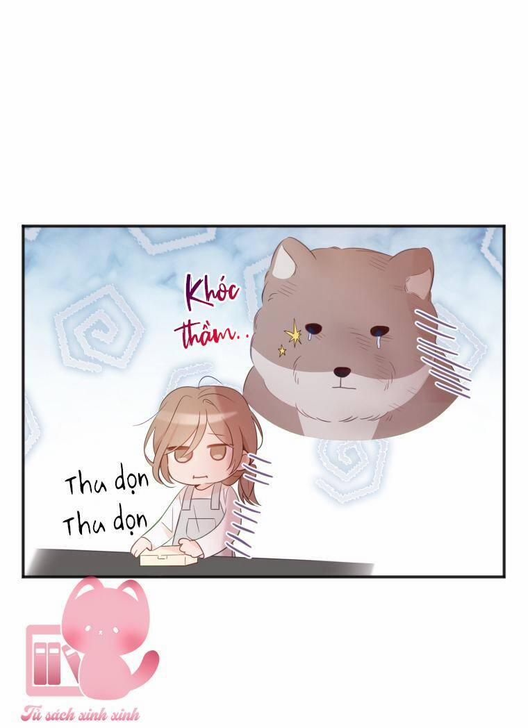 Dịch Vụ Chuyển Phát Hình Mẫu Lý Tưởng 17 trang 52