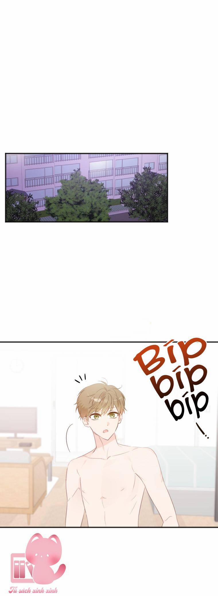 Dịch Vụ Chuyển Phát Hình Mẫu Lý Tưởng 18 trang 2