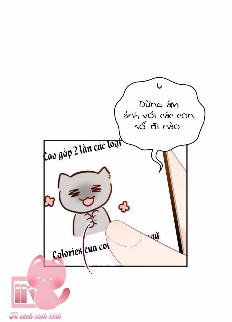 Dịch Vụ Chuyển Phát Hình Mẫu Lý Tưởng 18 trang 33