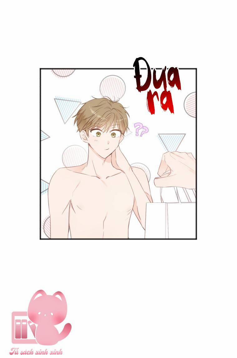 Dịch Vụ Chuyển Phát Hình Mẫu Lý Tưởng 18 trang 5