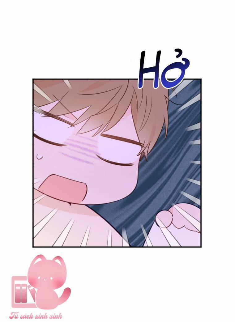 Dịch Vụ Chuyển Phát Hình Mẫu Lý Tưởng 18 trang 8