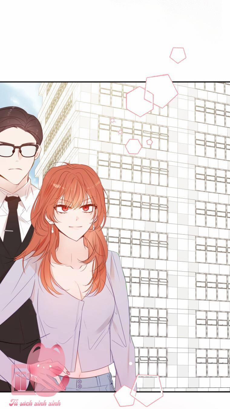 Dịch Vụ Chuyển Phát Hình Mẫu Lý Tưởng 19 trang 2