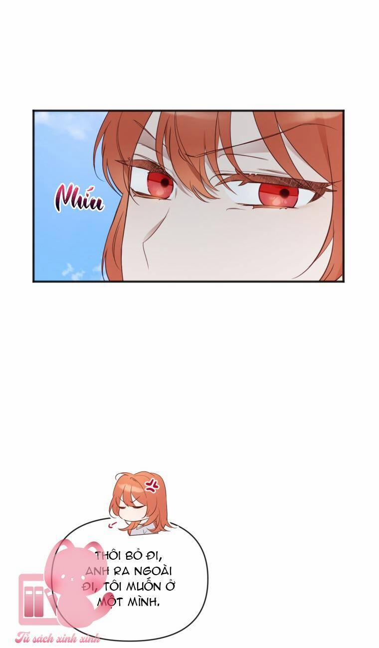 Dịch Vụ Chuyển Phát Hình Mẫu Lý Tưởng 19 trang 29