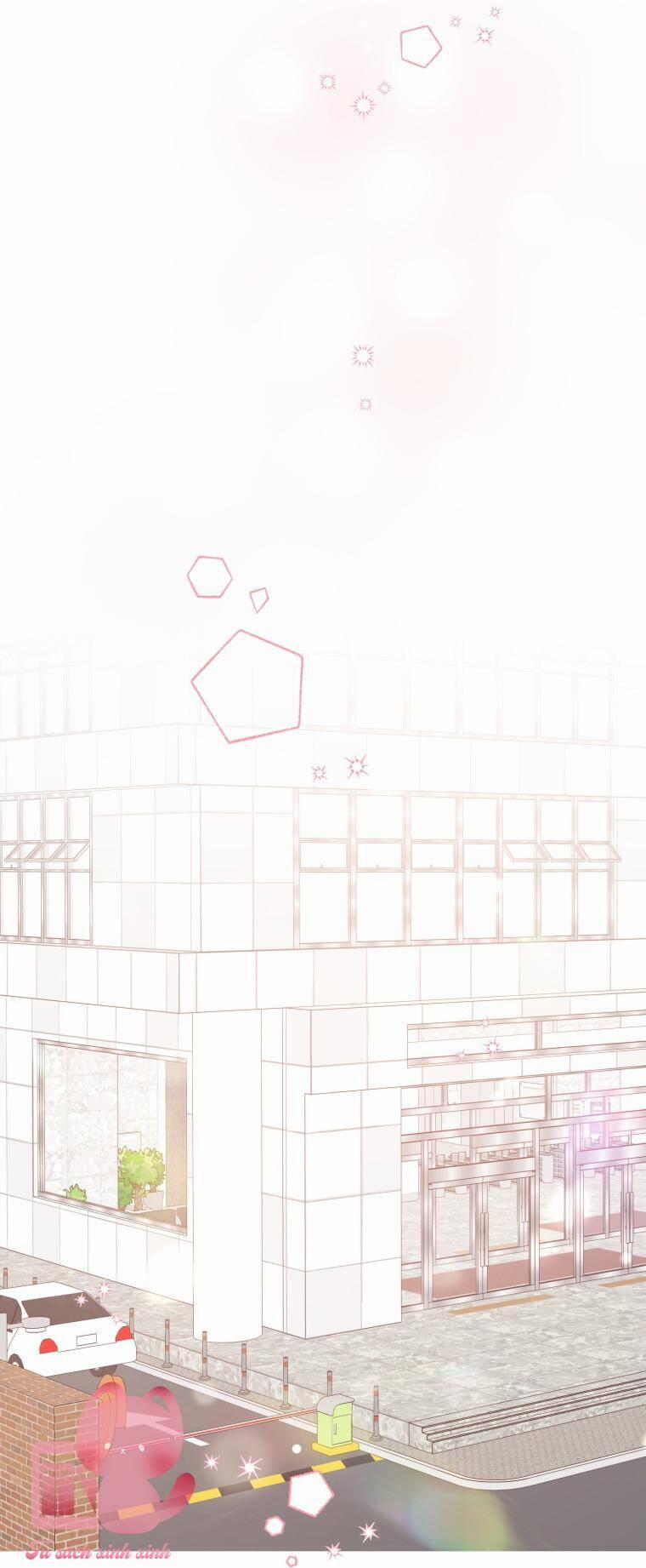 Dịch Vụ Chuyển Phát Hình Mẫu Lý Tưởng 19 trang 3