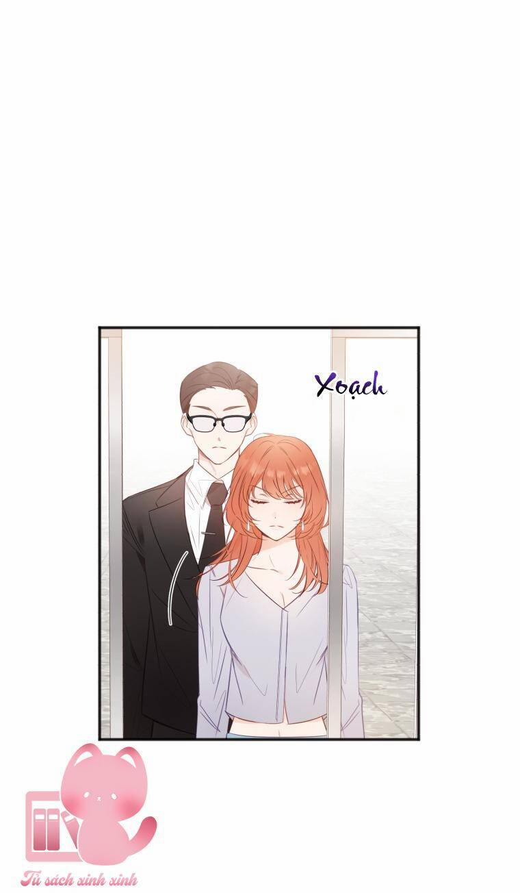 Dịch Vụ Chuyển Phát Hình Mẫu Lý Tưởng 19 trang 5