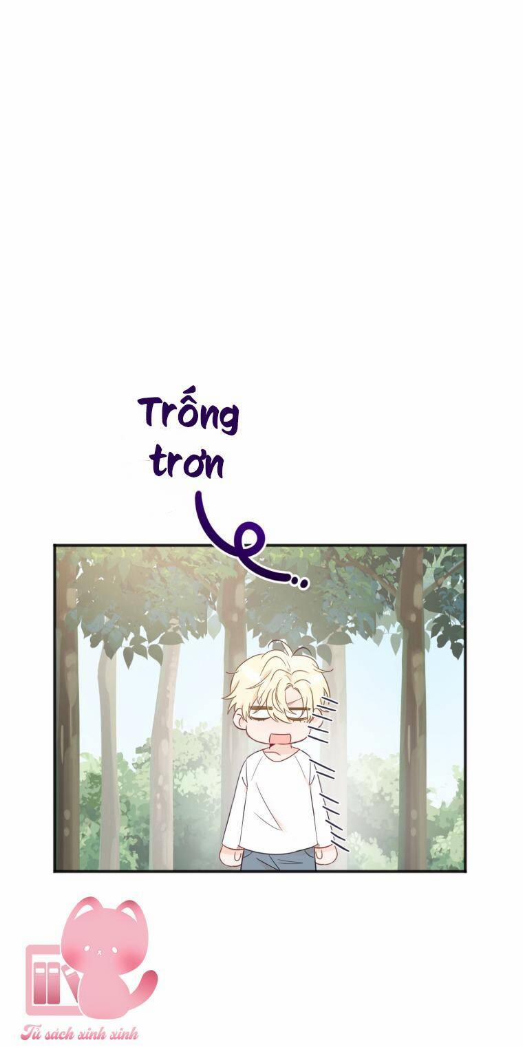 Dịch Vụ Chuyển Phát Hình Mẫu Lý Tưởng 19 trang 50