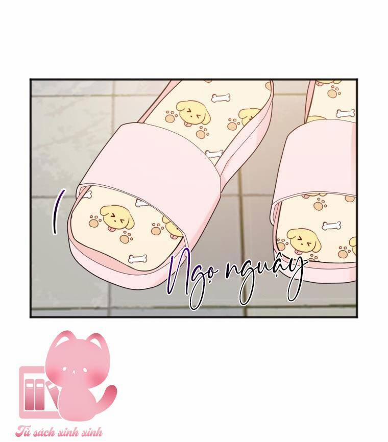 Dịch Vụ Chuyển Phát Hình Mẫu Lý Tưởng 20 trang 47