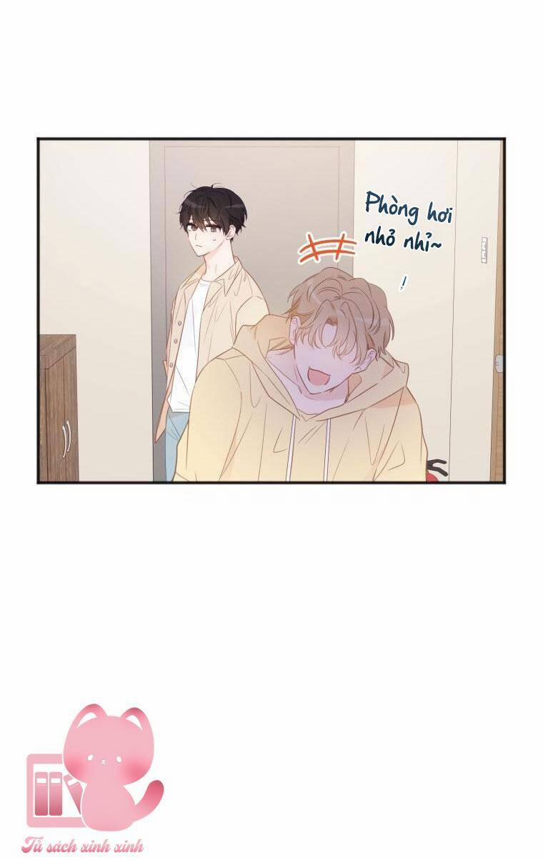 Dịch Vụ Chuyển Phát Hình Mẫu Lý Tưởng 20 trang 55