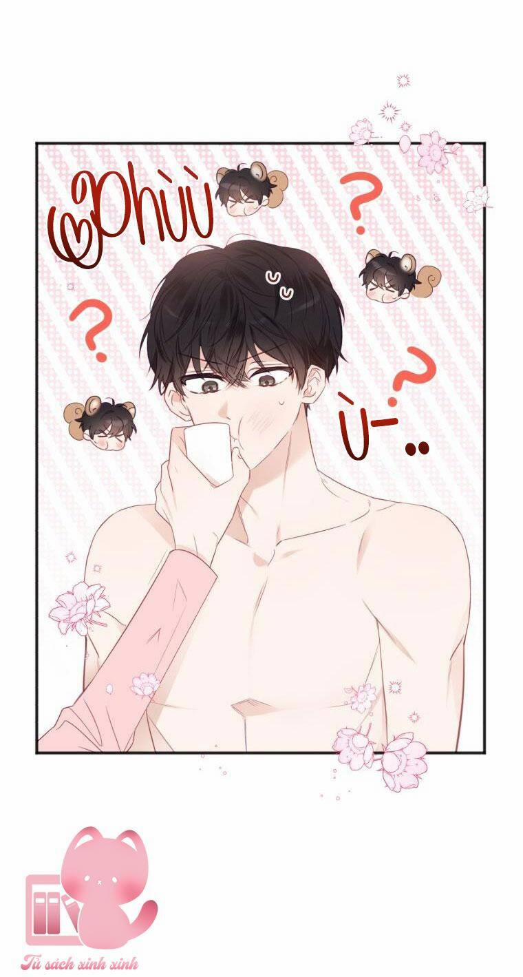 Dịch Vụ Chuyển Phát Hình Mẫu Lý Tưởng 20 trang 9