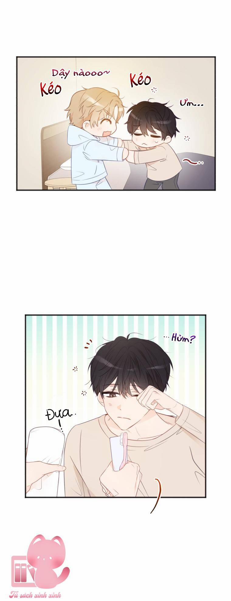 Dịch Vụ Chuyển Phát Hình Mẫu Lý Tưởng 21 trang 16