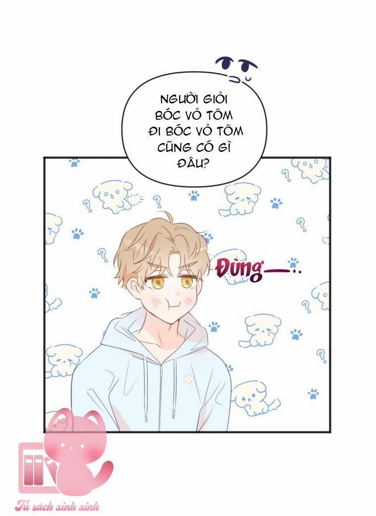 Dịch Vụ Chuyển Phát Hình Mẫu Lý Tưởng 21 trang 31