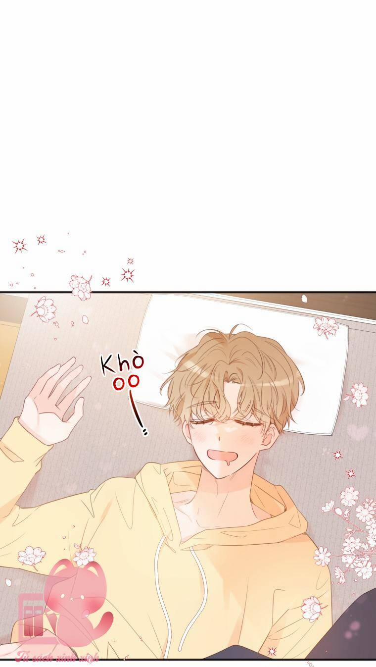 Dịch Vụ Chuyển Phát Hình Mẫu Lý Tưởng 21 trang 4