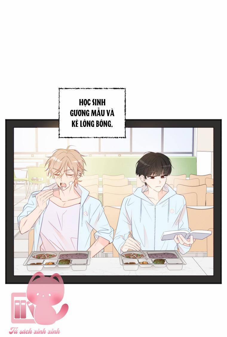 Dịch Vụ Chuyển Phát Hình Mẫu Lý Tưởng 21 trang 40