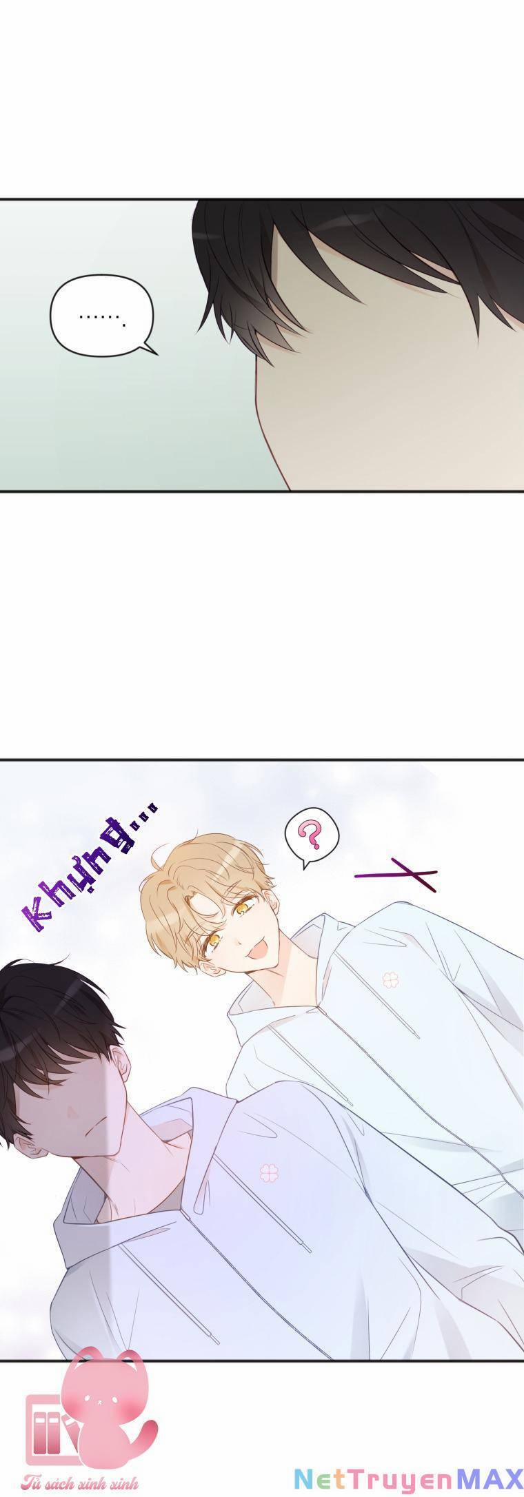 Dịch Vụ Chuyển Phát Hình Mẫu Lý Tưởng 22 trang 11