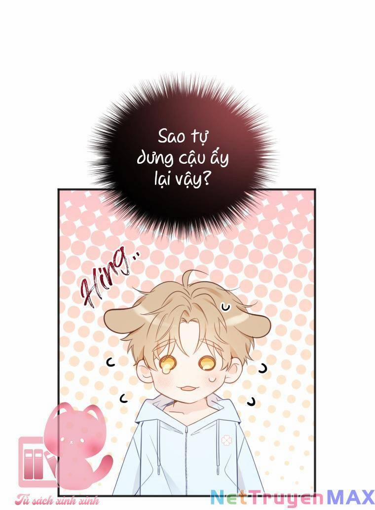 Dịch Vụ Chuyển Phát Hình Mẫu Lý Tưởng 22 trang 14