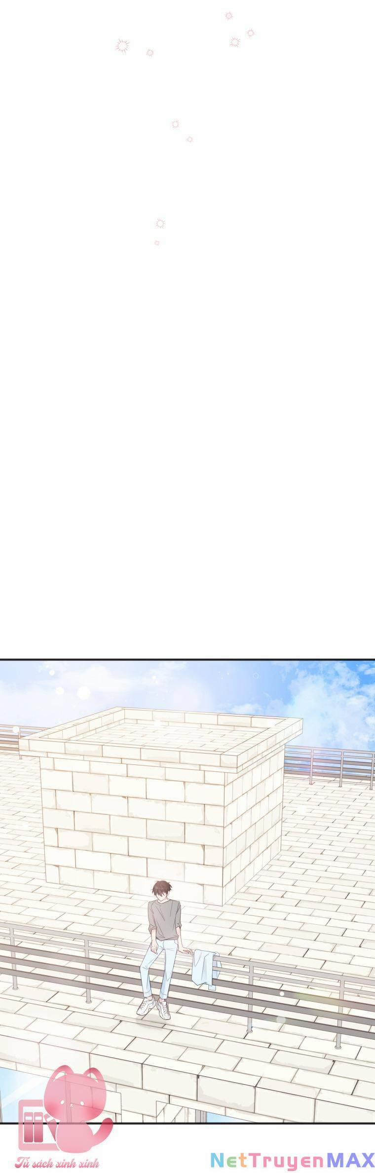 Dịch Vụ Chuyển Phát Hình Mẫu Lý Tưởng 22 trang 15