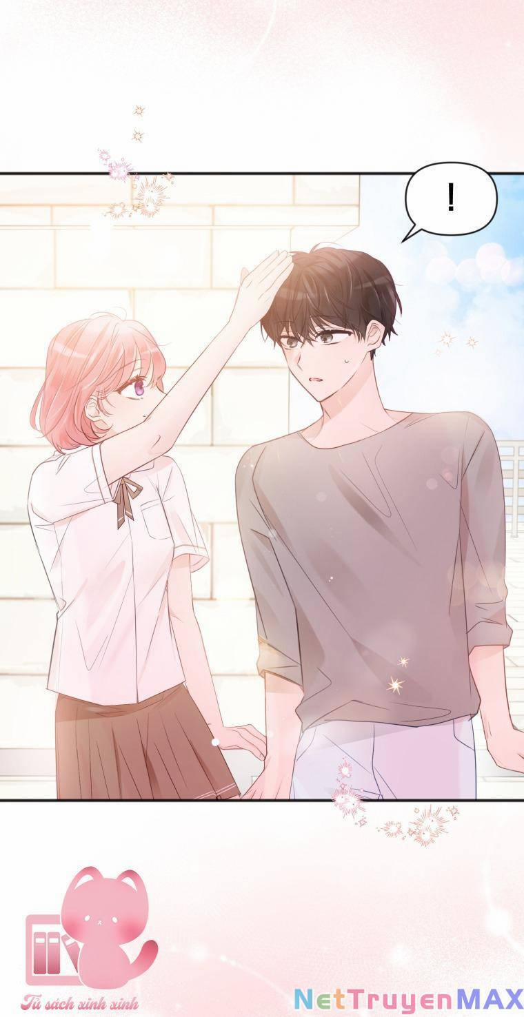 Dịch Vụ Chuyển Phát Hình Mẫu Lý Tưởng 22 trang 20