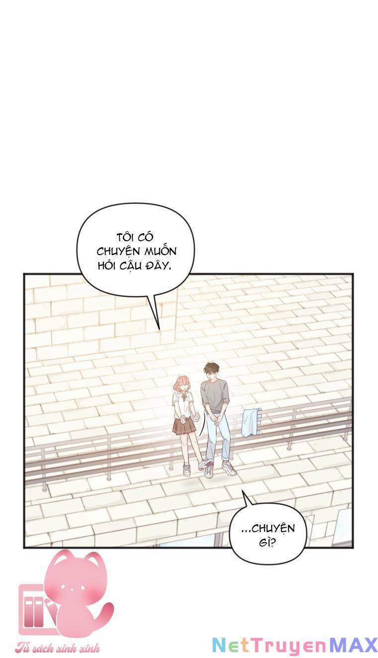 Dịch Vụ Chuyển Phát Hình Mẫu Lý Tưởng 22 trang 24