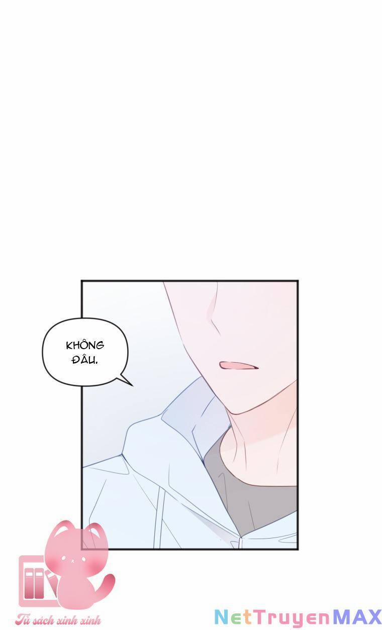 Dịch Vụ Chuyển Phát Hình Mẫu Lý Tưởng 22 trang 5