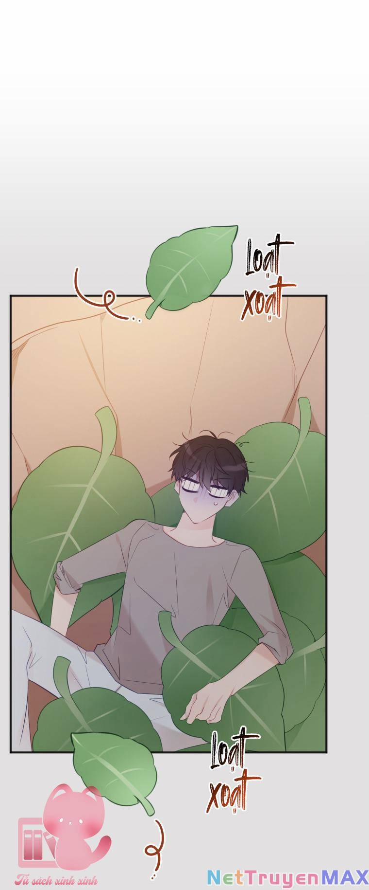 Dịch Vụ Chuyển Phát Hình Mẫu Lý Tưởng 22 trang 50