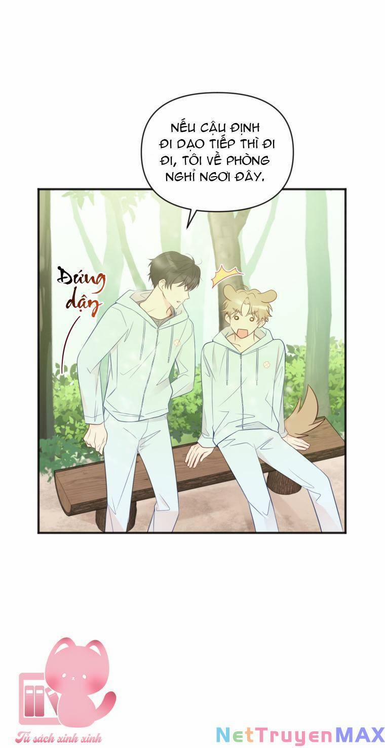 Dịch Vụ Chuyển Phát Hình Mẫu Lý Tưởng 22 trang 8