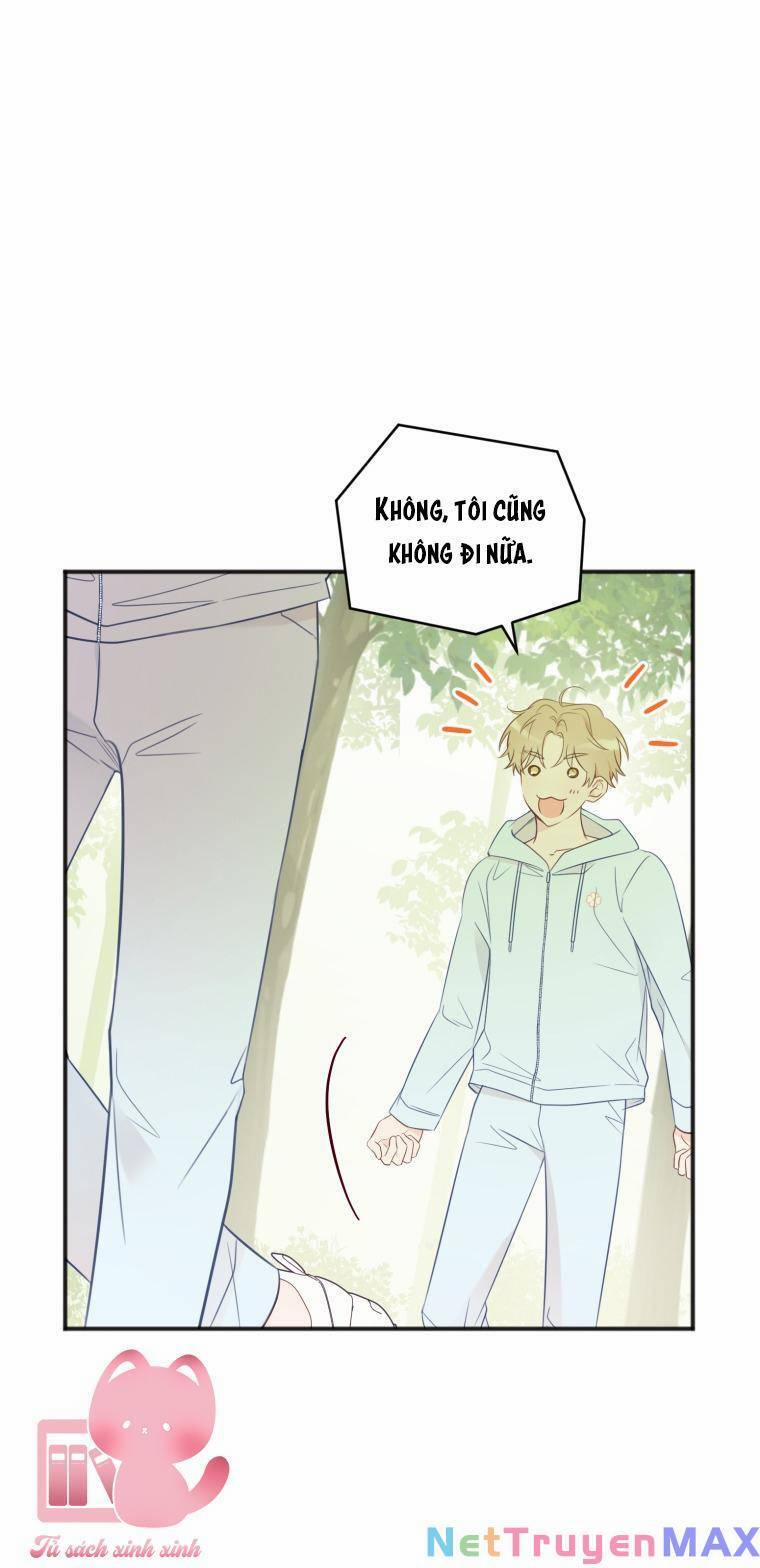 Dịch Vụ Chuyển Phát Hình Mẫu Lý Tưởng 22 trang 9