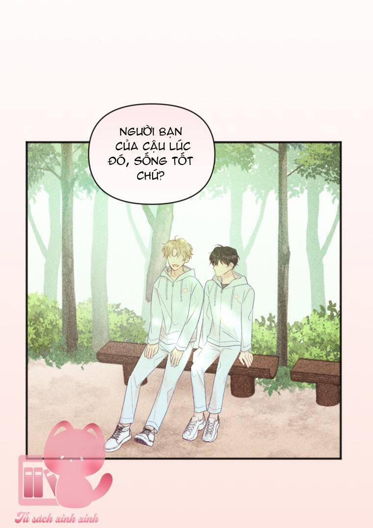 Dịch Vụ Chuyển Phát Hình Mẫu Lý Tưởng 23 trang 35