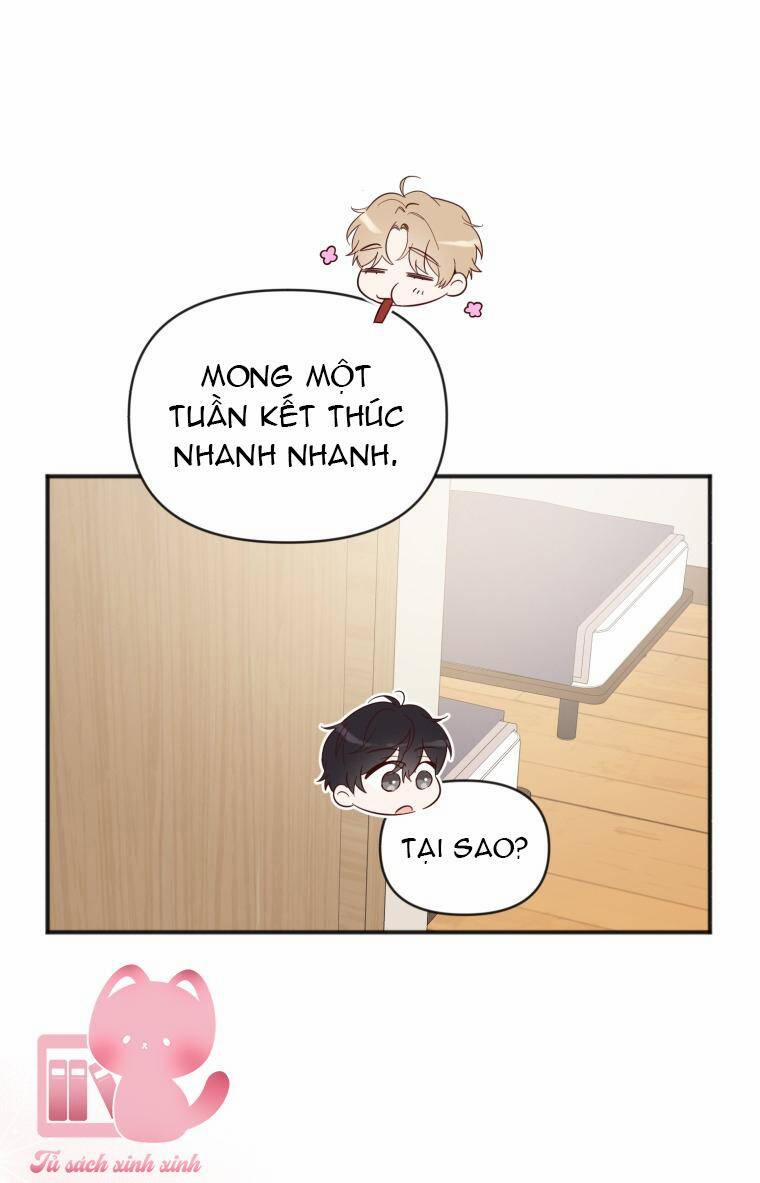 Dịch Vụ Chuyển Phát Hình Mẫu Lý Tưởng 23 trang 61