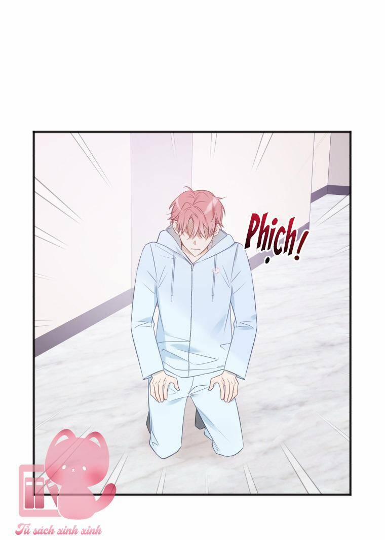 Dịch Vụ Chuyển Phát Hình Mẫu Lý Tưởng 23 trang 9