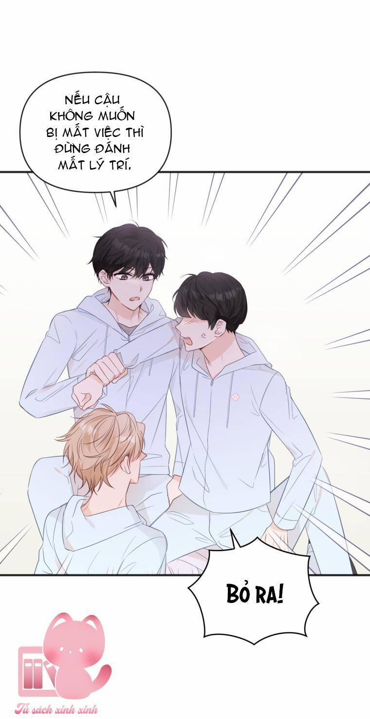 Dịch Vụ Chuyển Phát Hình Mẫu Lý Tưởng 24 trang 11