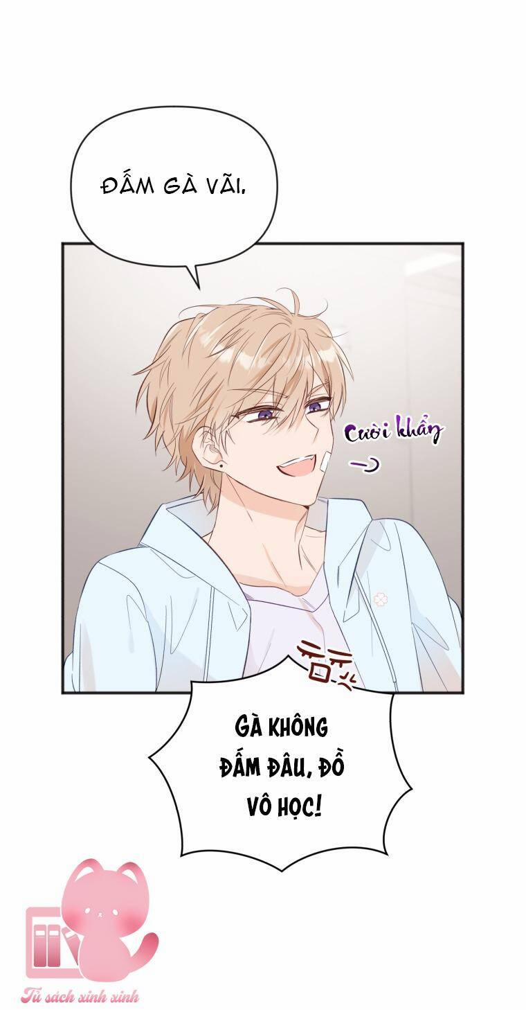 Dịch Vụ Chuyển Phát Hình Mẫu Lý Tưởng 24 trang 12