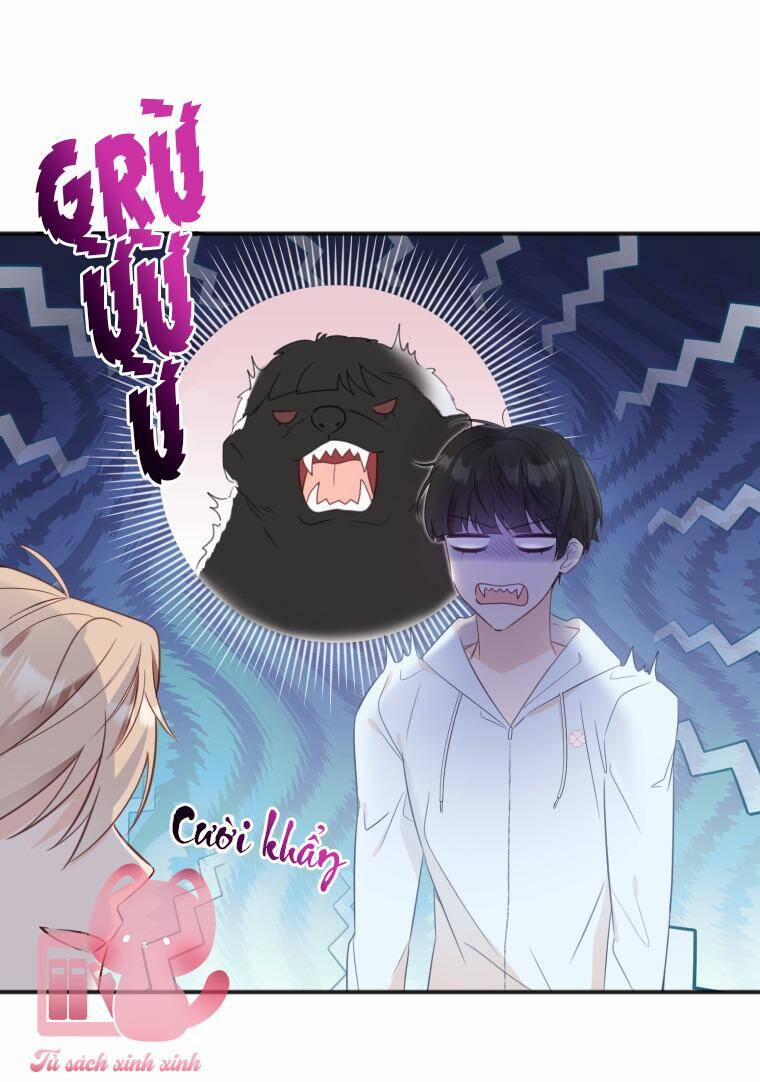 Dịch Vụ Chuyển Phát Hình Mẫu Lý Tưởng 24 trang 20