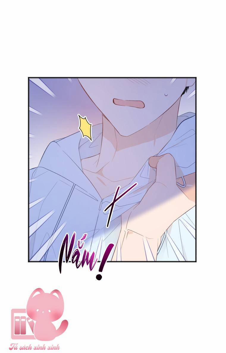 Dịch Vụ Chuyển Phát Hình Mẫu Lý Tưởng 24 trang 22