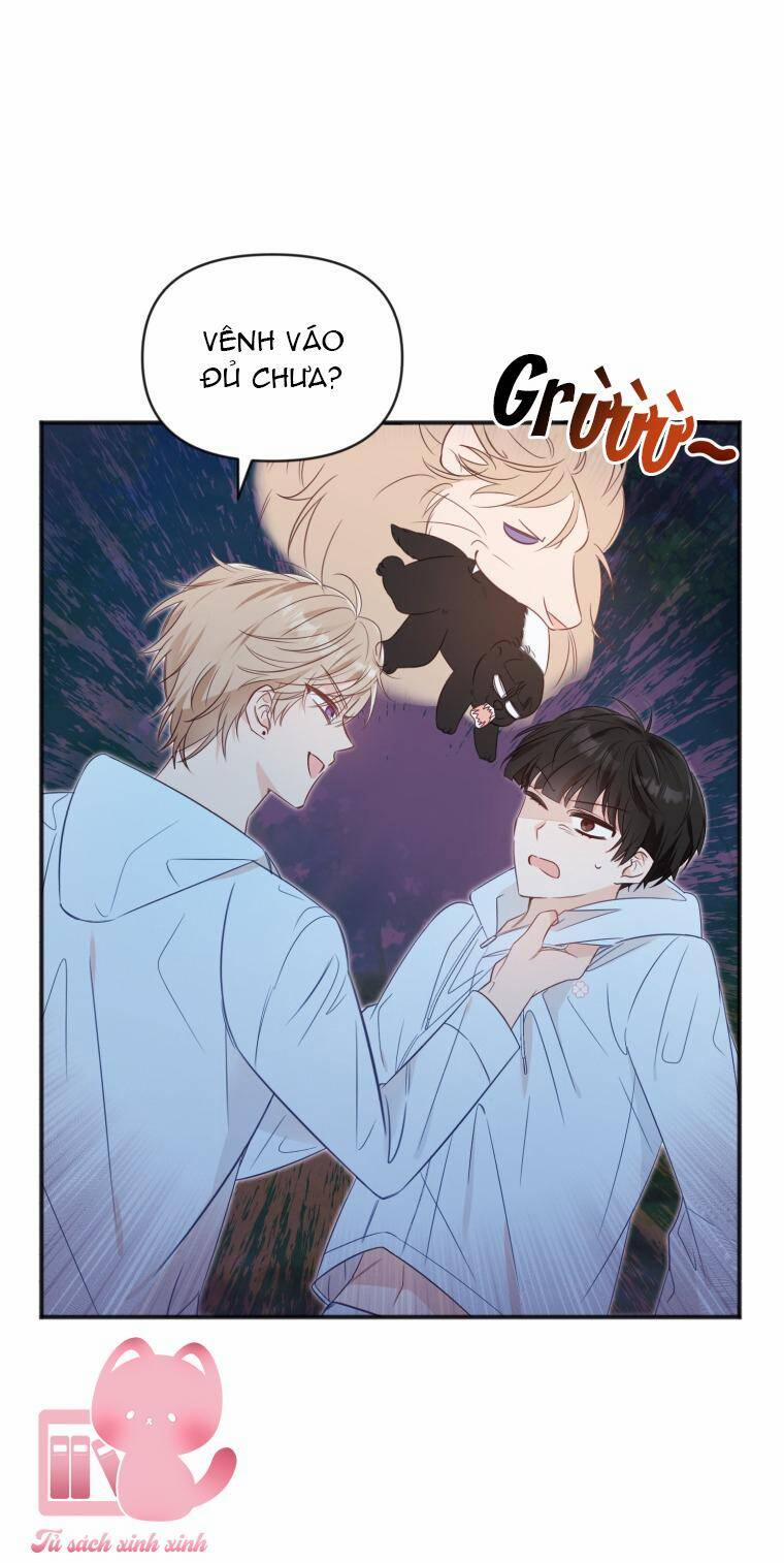 Dịch Vụ Chuyển Phát Hình Mẫu Lý Tưởng 24 trang 23