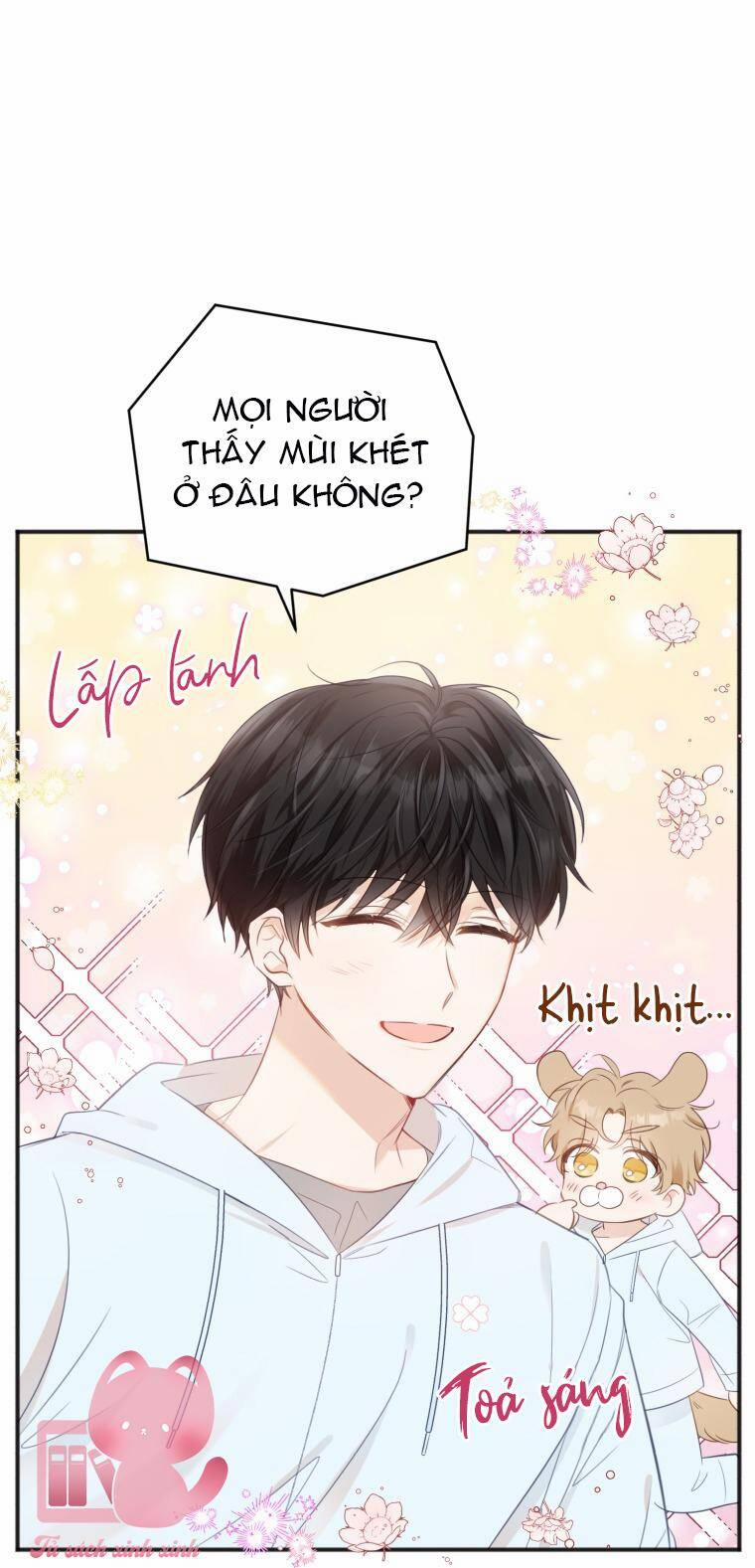 Dịch Vụ Chuyển Phát Hình Mẫu Lý Tưởng 24 trang 25