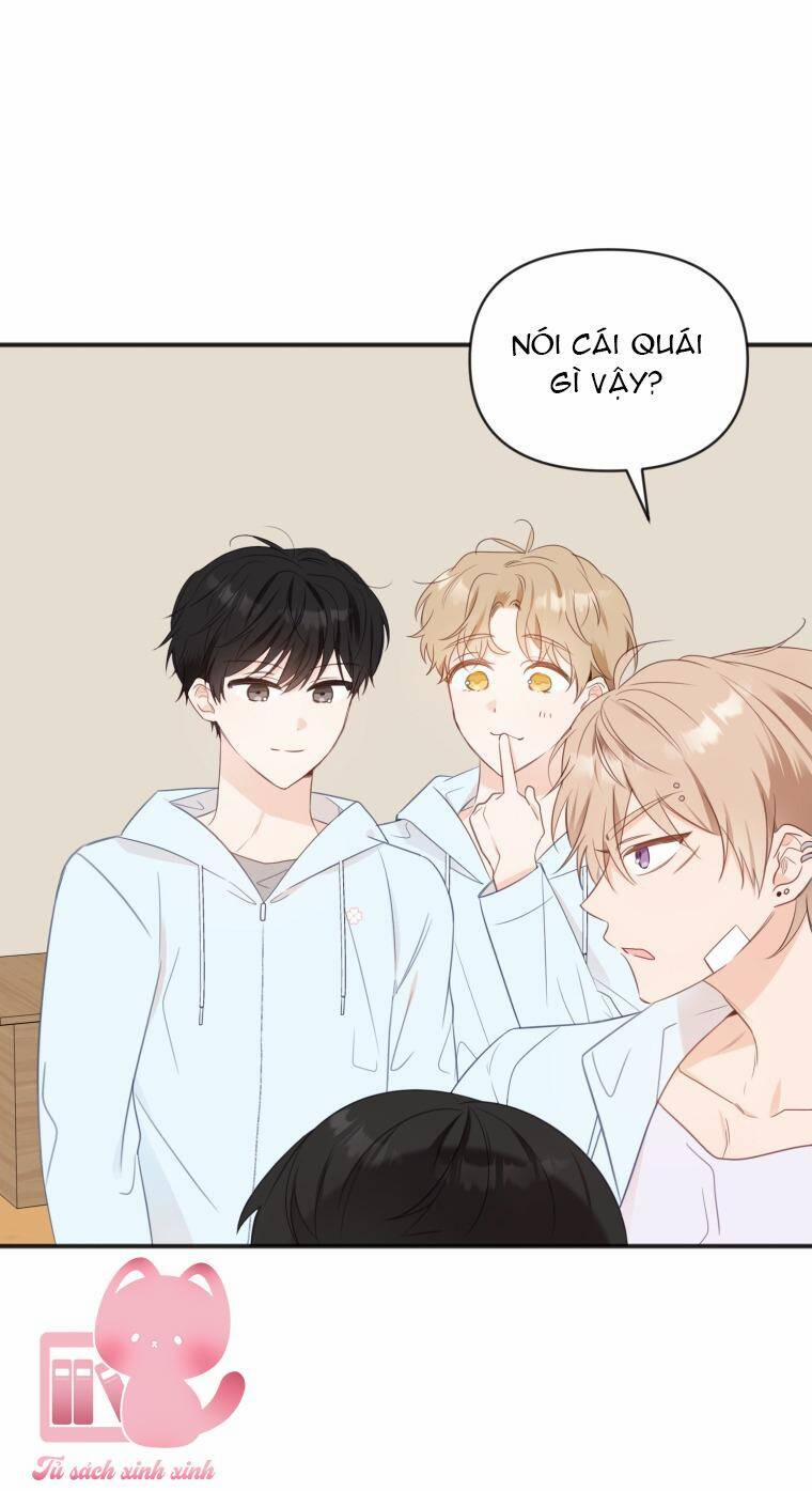 Dịch Vụ Chuyển Phát Hình Mẫu Lý Tưởng 24 trang 27