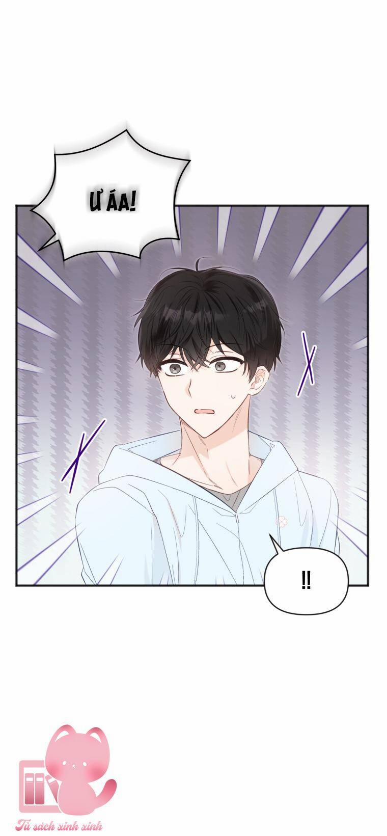 Dịch Vụ Chuyển Phát Hình Mẫu Lý Tưởng 24 trang 3