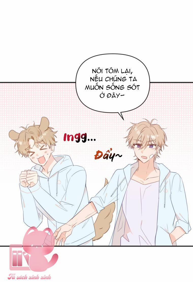 Dịch Vụ Chuyển Phát Hình Mẫu Lý Tưởng 24 trang 47