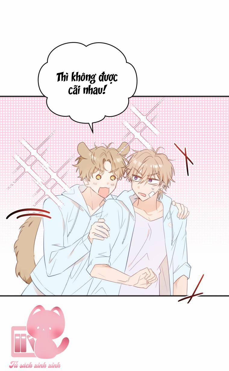 Dịch Vụ Chuyển Phát Hình Mẫu Lý Tưởng 24 trang 48