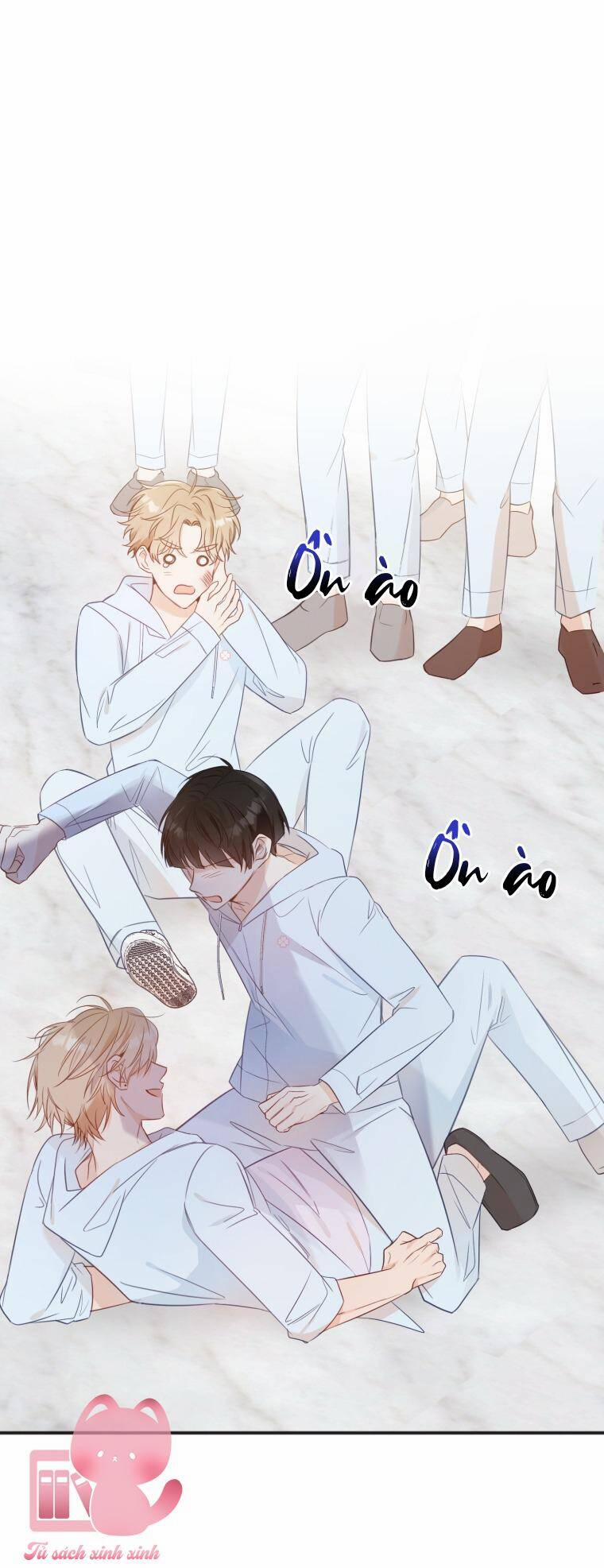 Dịch Vụ Chuyển Phát Hình Mẫu Lý Tưởng 24 trang 5